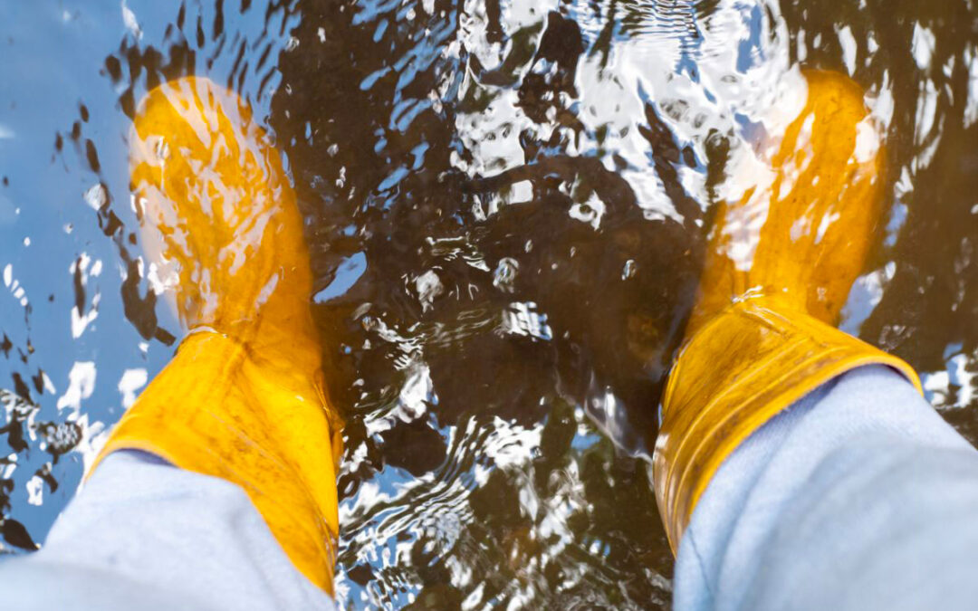 Leçons tirées des inondations historiques : Comment la préparation et les interventions ont évolué