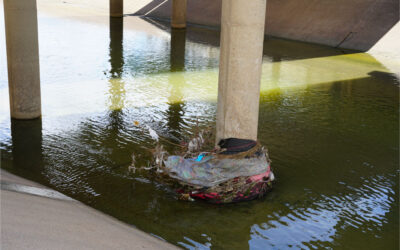 L’impact environnemental des inondations : comprendre les conséquences et préparer des réponses efficaces