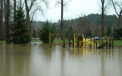 L’Impact des Inondations sur les Écosystèmes Urbains et les Mesures de Prévention