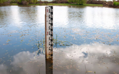 Préparation aux crues : stratégies de prévention et impact environnemental